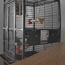 İstanbul'daki depremi hissetti: Kafesten kurtulmaya çalıştı