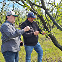 TARSİM zirai don olayına ilişkin hasar tespit çalışmalarına tüm hızıyla devam ediyor