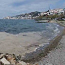 Yalova kıyılarında müsilaj görüldü