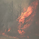 Israël évacue plusieurs villes et sollicite une aide internationale face aux incendies liés à la chaleur