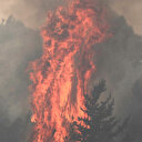 İsrail çaresiz kaldı: Yangın için 6 ülkeye el açtılar