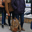 Edirne'de 4 düzensiz göçmen yakalandı