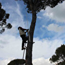 Metrelerce yükseklikte ekmek parası kazanıyorlar: Düşüp ölenler bile oluyor