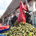 Doğal antibiyotik olarak bilinen lezzet doğadan tezgahlara indi: Şifa kaynağı bitkinin faydaları say say bitmiyor