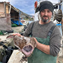 Karadeniz'de nadir görülen fener balığı balıkçıların ağına takıldı