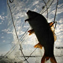 Balıkçılar için av yasağı başlıyor