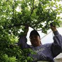 Dört bin metrekare alanda üretiyor kilosu 500 TL: Hatay'dan dünyaya yayılıyor