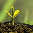 14 soruda İklim Kanunu: Türkiye'nin ilk İklim Kanunu neler getiriyor?