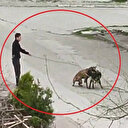 Tasmasından tuttuğu köpeğini sokak köpeklerine saldırttı: Vatandaşlar tepki gösterdi