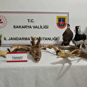 Ev değil sanki belgesel seti: Sakarya'da 102 egzotik hayvan ile 5 dondurulmuş hayvan ele geçirildi