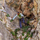 Sarp yamaçlarda kişniş toplayanların zorlu mesaisi