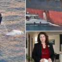 Antalya Körfezi'nde 'sintine' alarmı: Tam 3 kat arttı