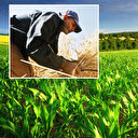 Genel tarım sayımına ilişkin genelge yürürlükte