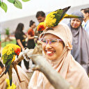 Geleceğin cıvıltısı