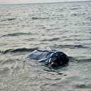 Çuvala koyup denize atmışlar: Vatandaş gözlerine inanamadı hemen ekiplere haber verildi