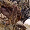 Bodrum'da denizden 45 tonluk çöp çıkarıldı