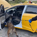 Osmaniye'de uyuşturucu operasyonu: 13 tutuklama