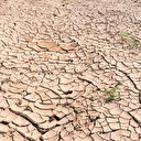 80 milyon kişi açlık riski altında