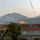 Köyceğiz'de sazlık alanda yangın paniği: Yangının çıkış nedenine ilişkin inceleme sürüyor
