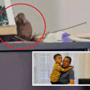 5 yaşındaki çocuğun odasına girip yuva yaptı: Küçük Hamza artık başka odada uyuyor