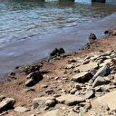 Tekirdağ’da tedirgin eden görüntü: Rüzgar sonrası tüm sahil şeridini kapladı