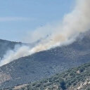 İzmir'de zeytinlik ve makilik alanda yangın çıktı