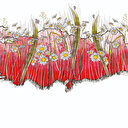 Stratejik vizyon: Terörsüz Türkiye ile müreffeh bir gelecek