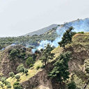 Aydın'da ormanlık alanda yangın çıktı