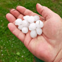 Sakarya'da dolu tarım arazilerini vurdu