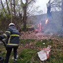 Bayburt'ta yıldırım düşen ağaç ikiye bölündü