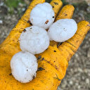 Kahramanmaraş'a ceviz büyüklüğünde dolu yağdı
