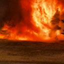 ABD'de orman yangını: 20 bin 425 dönümlük alan kül oldu