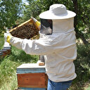 Şırnak dağlarında başlayan arıcılık serüveni Paris’te altınla taçlandı