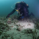 Çanakkale Boğazı'ndaki asırlık mercanlar müsilaj tehlikesiyle karşı karşıya