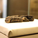 Eskişehir'de 5 bin yıllık ekmek bulundu: Bunun başka bir örneği yok