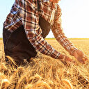 Kırsal kalkınmaya dev destek: 329 projeye 3,6 milyar lira hibe