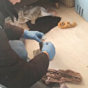 Kırklareli'nde uyuşturucu operasyonu: 2 tutuklama