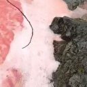 Rize'de dere birden bire kırmızıya döndü: Valilik inceleme başlattı