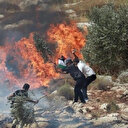 الضفة.. مستوطنون إسرائيليون يحرقون أرضا زراعية شرق رام الله