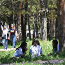 Ölümcül kene virüsüne karşı mRNA aşısı geliştiriliyor