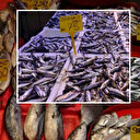 Karadeniz'de balık stokları azalıyor: Kirlilik ve aşırı avcılık öne çıkıyor