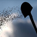 AR-GE destekleri tohum sektöründe yerlilik oranını artıracak