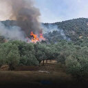 İzmir'de korkutan yangın: Tüm ekipler seferber oldu
