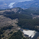 Ankara Valiliği duyurdu: O tarihler arasında ormanlara giriş-çıkış yasaklandı
