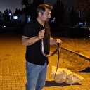 Çamaşır makinesine giren kara yılan yakalanarak doğaya geri salındı