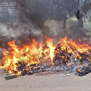 Balıkesir'de acı bilanço: 1 haftada 14 orman ve arazi yangını meydana geldi