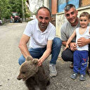Sinop'ta annesiz bulunan yavru ayı kurtarıldı