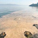 Arıtma çözülemedikçe müsilaj var olacak