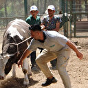 Gaziantep'te kurban yakalama timi devrede: Bayrama özel müdahale planı