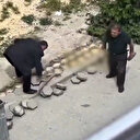 Eskişehir'de bir vatandaş kaldırım taşlarını söküp götürdü: O anlar kameralara yansıdı